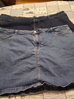3 Plus Skorts